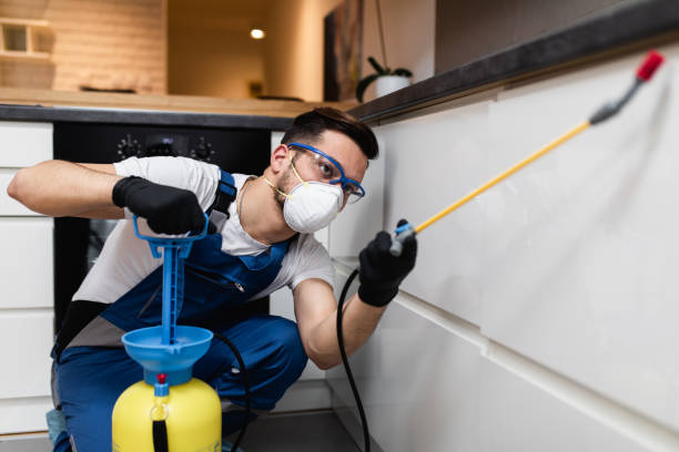 Best Bed Bug Extermination  in Homewood, AL