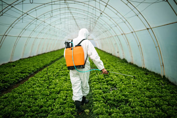Best Affordable Pest Control Services  in Homewood, AL