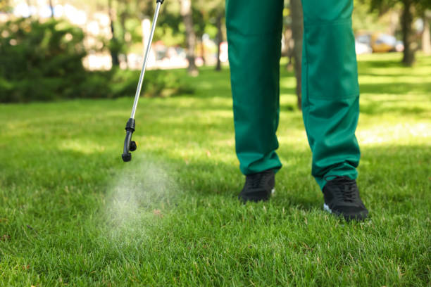 Best Pest Removal Services  in Homewood, AL