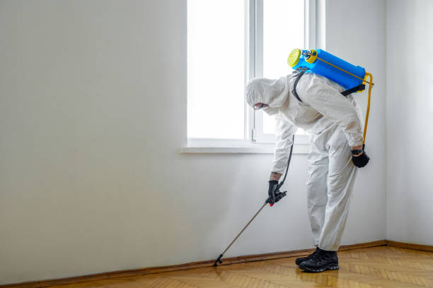 Flea Control Services in Homewood, AL