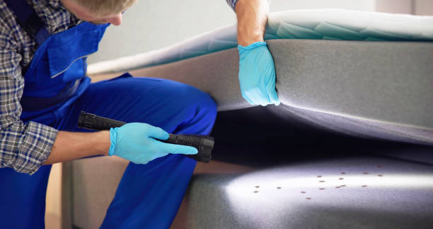 Professional Pest Control in Homewood, AL