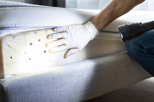 Best Pest Prevention Services  in Homewood, AL