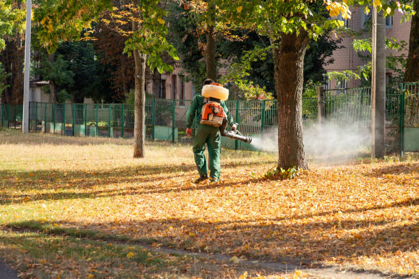 Best Wildlife Control Services  in Homewood, AL