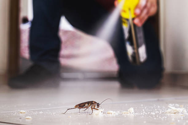 Best Bed Bug Extermination  in Homewood, AL