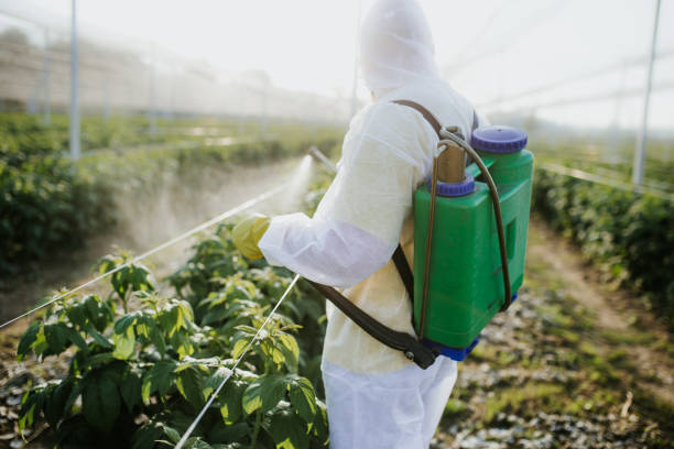 Best Insect Control  in Homewood, AL